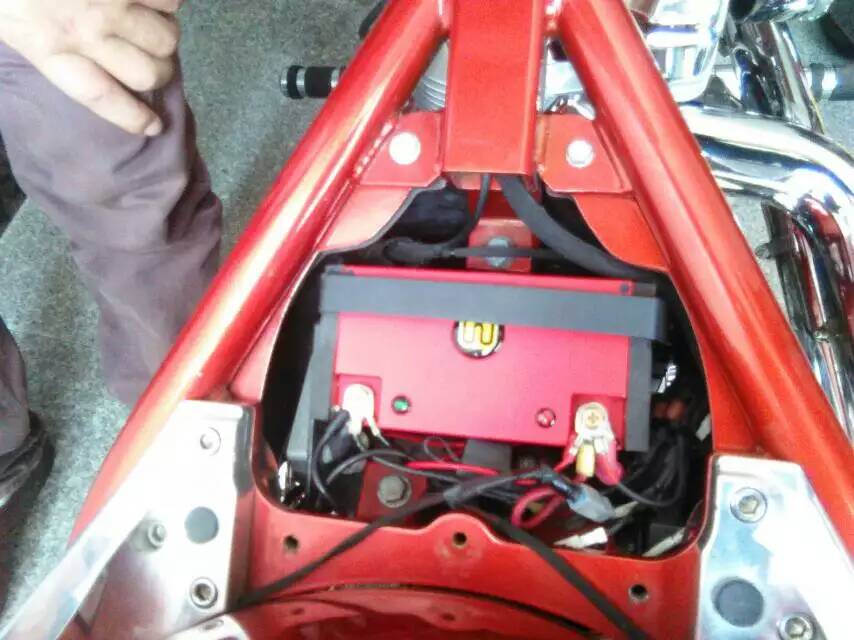 哈雷大狗定制版-3